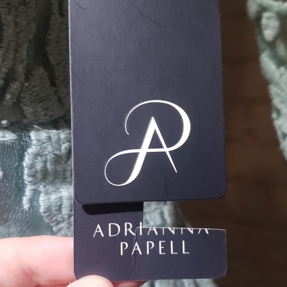 Adrianna papell lace accents dress - Picture 5 of 7